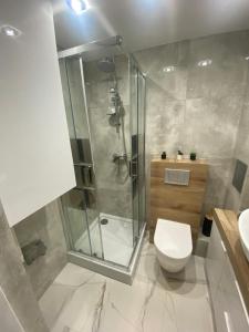 une salle de bains avec douche, toilettes et lavabo dans l'établissement Apartament ,,Eden”, à Zator