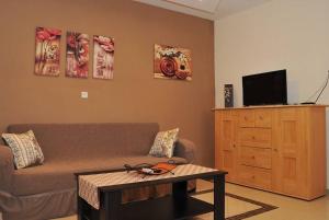 a living room with a couch and a tv at Elpidas Apartment in Kalabaka