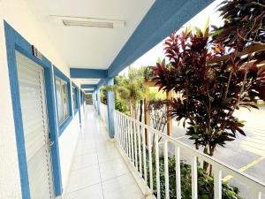 een balkon van een huis met blauwe muren en planten bij Lacqua Diroma parque - CN J in Caldas Novas