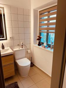 a bathroom with a toilet and a sink and a window at Apartment Altstadt Freiberg in Freiberg