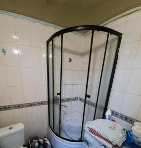 um chuveiro na casa de banho com WC em Nikodema em Kraslava