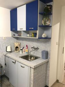 eine Küchentheke mit Spüle und blauen Schränken in der Unterkunft Cozy loft apartment in Plewen