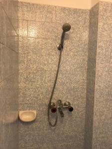 eine Dusche mit Duschkopf und ein Waschbecken im Bad in der Unterkunft Cozy loft apartment in Plewen