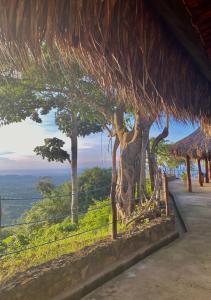 a statue of a tree on the side of a building at Ecohotel La Reserva in Piojó +37 photos