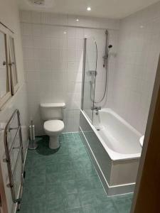 a bathroom with a tub and a toilet and a shower at Lavish apartment in Ldn bridge in London