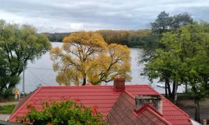 a red roof on a house next to a river at SKOLIMÓWKA in Chmielno