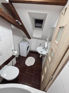 a small bathroom with a toilet and a sink at Apartmány pod Klášterem in Kladruby