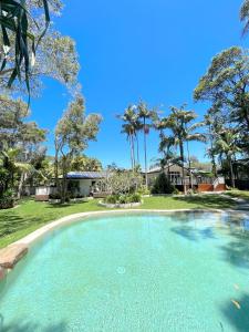 uma grande piscina num quintal com palmeiras em Sunrise Guesthouse em Byron Bay