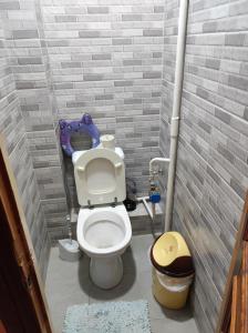ein kleines Bad mit einem WC in einer Ziegelwand in der Unterkunft Hostel in Orhei