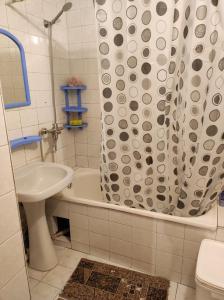 y baño con cortina de ducha y lavamanos. en Hostel en Orhei