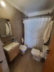 a bathroom with a toilet and a sink and a shower at Departamento céntrico amplio con garage automatizado 24 Hs in Santa Rosa