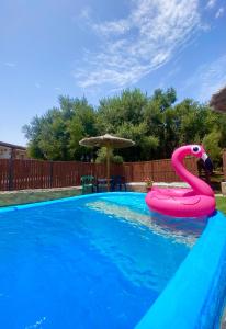 Bazén v ubytování Eco-Edén Adults Only nebo v jeho okolí