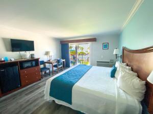 Habitación de hotel con cama y TV en Seahorse Oceanfront Inn en Neptune Beach