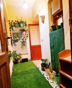 a hallway with green grass and potted plants at West golf 2bedroom in Hurghada