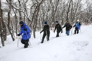 Perfect Mt. Location! Skiing, Hiking, Biking, Pool בחורף