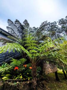 una palmera en un jardín con plantas en Welcome on Wellington, en Warburton