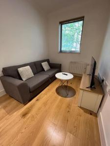 a living room with a couch and a television at Cozy Modern Apartment in Croydon Central in Croydon