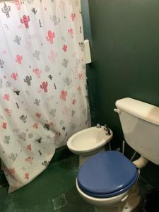 a bathroom with a toilet and a shower curtain at Cabaña La Apacheta Cachi Salta in Cachí