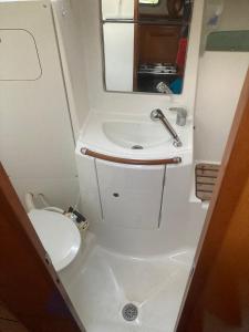 a small bathroom with a toilet and a sink at Le Voilier dans la baie des Saintes in Terre-de-Haut
