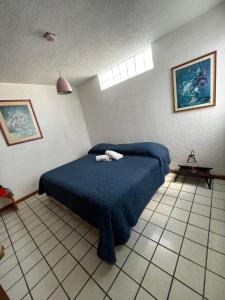 1 dormitorio con 1 cama con manta azul en Departamento amplio céntrico, en Irapuato