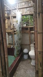 a bathroom with a toilet and a shower curtain at Centro Arte Terapéutico San Isidro Glamping in San Isidro