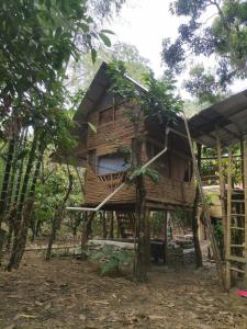 a tree house in the middle of the forest at Centro Arte Terapéutico San Isidro Glamping in San Isidro