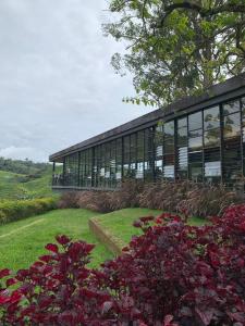 丹那拉打的住宿－LOVE LODGE BRINCHANG, CAMERON HIGHLANDS，前方有窗户和鲜花的建筑