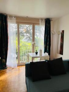 een woonkamer met een bank en een groot raam bij Charmant logement centre ville Rosny Sous Bois in Rosny-sous-Bois