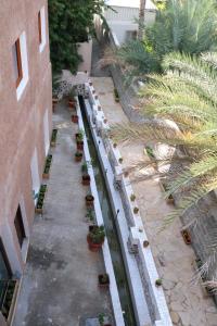 een uitzicht op een binnenplaats met planten en een gebouw bij Riad Nizwa in Nizwa