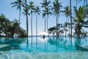 an infinity pool with palm trees and an umbrella at Eraeliya Villas & Gardens in Weligama