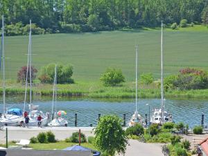 Φυσικό τοπίο κοντά σε αυτό το διαμέρισμα