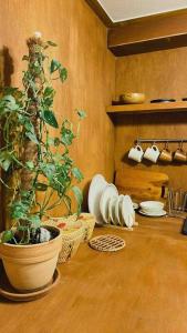 a kitchen with a table with a potted plant on it at Private House in Mapo in Seoul