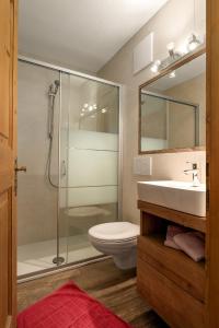 a bathroom with a shower and a toilet and a sink at Birkenhof in Sluderno