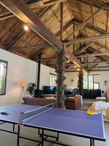 a ping pong table in the middle of a living room at DAYLESFORD Frog Hollow Estate THE BARN - Wanting a different experience - Stay in the Barn - Table Tennis Table - Cinema Projector - Bar - Wood Fireplace - 3 QUEEN BEDS - A fun place for everyone in Daylesford