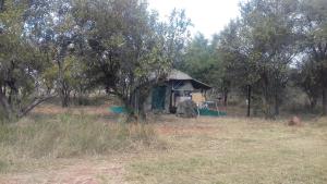 uma tenda no meio de um campo com árvores em Hartbees Boskamp em Dinokeng Game Reserve