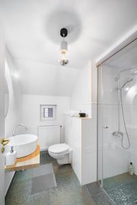 uma casa de banho com um WC, um lavatório e um chuveiro em Acasă la Doftana em Teşila