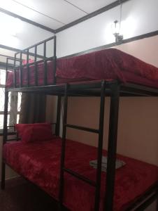 Bolaven trail guesthouse في باكسي: غرفة نوم بسريرين بطابقين مع شراشف حمراء