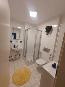 a bathroom with a shower and a toilet and a sink at Dennis Apartment in Dresden