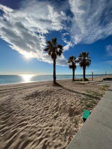 貝尼卡西姆的住宿－APTO RESIDENCIAL EN BENICASIM，沙滩上的棕榈树