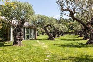 a row of olive trees in front of a building at Domaine Les Mésanges in Saint-Tropez