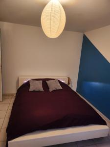 Schlafzimmer mit einem Bett und einem Kronleuchter in der Unterkunft Maison tout confort in Nîmes