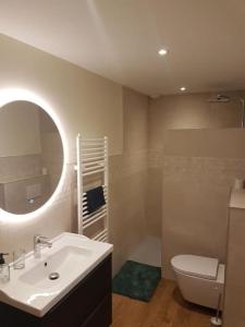ein Badezimmer mit einem Waschbecken, einem WC und einem Spiegel in der Unterkunft Le Cottage in Sorans-lès-Breurey
