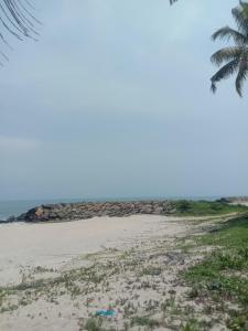 una playa de arena con una palmera y el océano en Beach homestay, en Alleppey