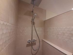 a shower in a bathroom with a shower head at Le Cottage in Sorans-lès-Breurey