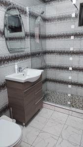 y baño con ducha, lavabo y aseo. en CASA RAUL, en Poiana Mărului