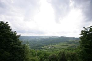 Príroda v okolí penziónu