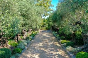 ścieżka w ogrodzie z drzewami i krzakami w obiekcie Domaine Les Mésanges w Saint-Tropez