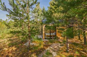 a glass house in the woods with trees at Forestic Lietuva in Vilionys