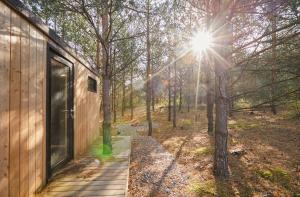 a wooden house in the woods with the sun shining at Forestic Lietuva in Vilionys