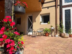 een patio met bloemen en een tafel en stoelen bij Zewwelatreppler - La Grange aux Petits Oignons - Chambre Rainette in Sélestat
